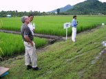 Rice breeder Dr Gary Atlin explains about drought tolerance in rice