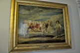 The Sheridan longhorn cattle