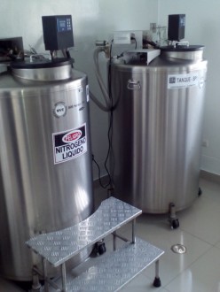 Tanks of liquid nitrogen in which the cultures are stored.