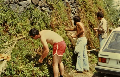 Me, Arnoldo, and Manuel in La Gomera, June 1981