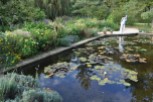 The Pine Garden and Lily Pool