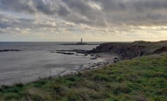 The view of St Mary's Lighthouse from Old Hartley.